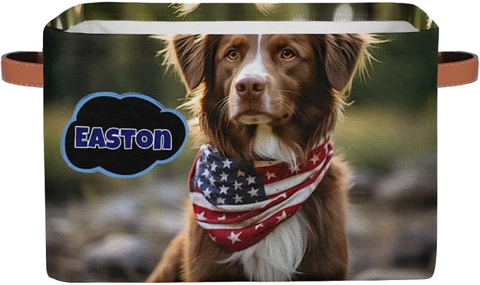 Personalized Storage Basket with Name, Rectangle Toys Pet Dog Storage Bin with Handles for Baby, Boys, Girls, Collapsible Basket for Clothes, Books