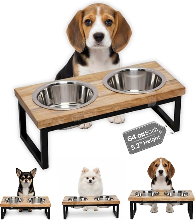 Elevated Dog Bowls, Medium 5.2 Height Mango Wood Raised Dog Bowl Iron Stand Frame with 64oz 2 Pcs Stainless Steel Pets Dishes, Food & Water 8Cup, 1.9L Capacity Nonslip Cat Feeding Station
