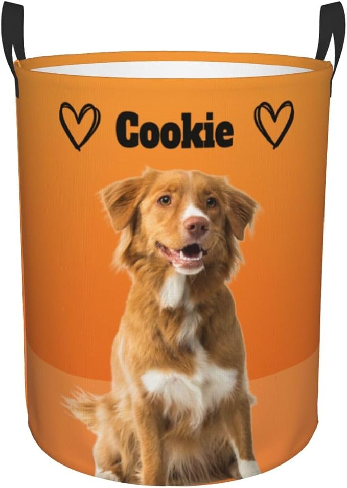Personalized Large Dog Toy Storage Basket Bin Collapsible Custom Pet Stuff Box Chest Container for Living Room Organizer for Dog Toys,Dog Food,Blankets,Clothing (Orange)