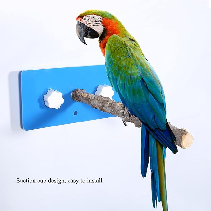 AYNEFY Parrots Bath Holder Toy with Suction Cup Birds Standing Rack Shower Bath Supply Wall Mounted Parrot Shower Perch Pet Rack (Zanthoxylum bungeanum)