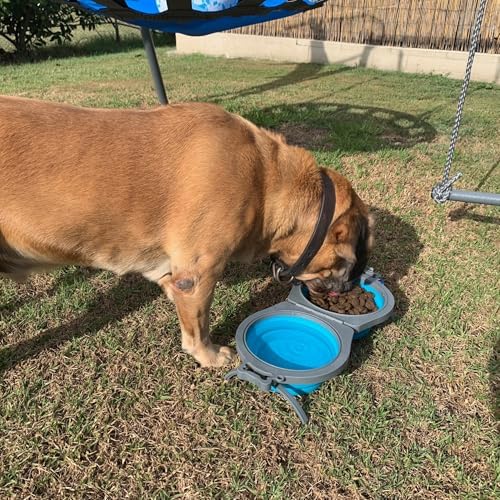 Loving Pets Bella Roma Double Diner Collapsible Dog Bowls - Silicone Dog Bowls, Foldable Bowl, Puppy Essentials & Hiking Pet Supplies Great for Home & Travel (Blue, Small)