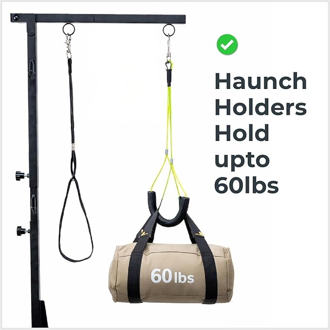 Dog Grooming Kit Adjustable Arm With Clamp: Height 26"-40", Small Dog Sling For Nail Trimming Hammock, no-sit Haunch Holder Leash Loops, Glove, Tool Hanging, Full Home Pet Grooming Supplies Kit, Cats