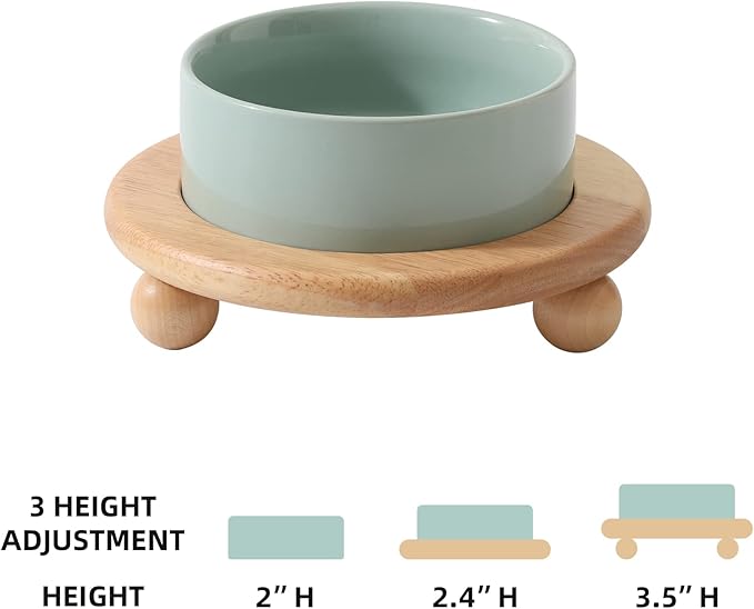 Havniva Ceramic Elevated Cat Food and Water Bowl, Kitty Bowl, Raised Cat Dish, Pet Feeder (5.1 in,1 x Light Green + Stand)