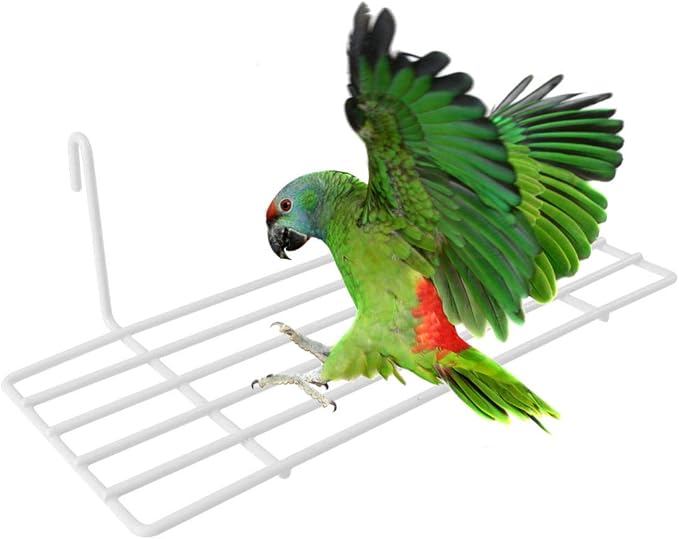 Mipcase 3pcs Iron Frame Bird Perch Shelf for Parrots Easy to Install Wall Decoration Sturdy Grid Wall Stand Practical Display for Plants and Pet Accessories White