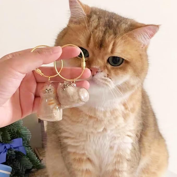 Cute Cat Hair Keychain Transparent Pet Fur Keepsake with Tweezer | Portable Cat Fur Keychain DIY Pet Hair Memorial Keepsake Cats Hairs Collector Charm Storage Box, Cats Lover Collecting Gifts
