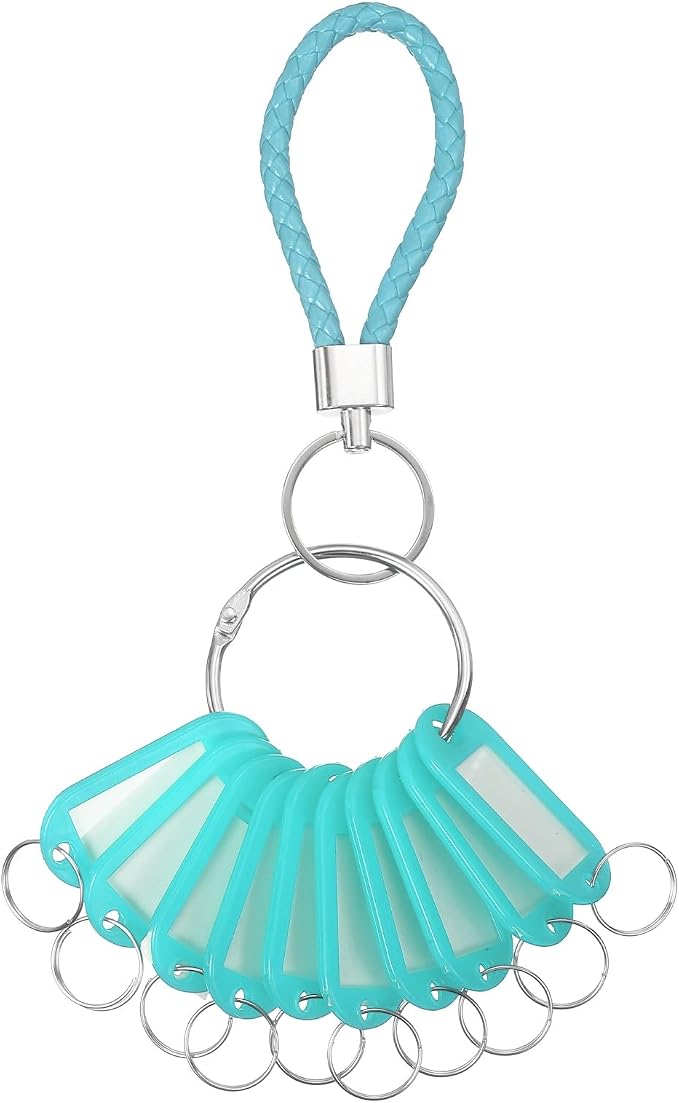 PATIKIL Key Tags with Labels, Key Organizer Keychain Markers Tags Holder with Bold Steel Ring and Braided Strap for Office