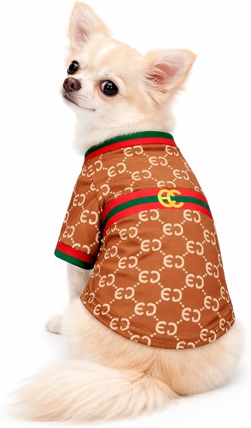 Luxury Designer Dog T Shirt – Trendy Puppy Clothes for Small Dogs, Fashion Pet Tee for French Bulldogs & Chihuahuas, Everything Chic Dog Apparel (GucchewiTee, Medium)