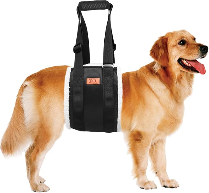 Adjustable Dog Lift Harness, Dog Sling for Large Dogs Lift Support and Rehab Harness for Weak Rear Legs, Soft Hind Leg Support Helps Senior, Injured,Disabled and After ACL Surgery Dogs(Black,X-Large) | Sturdy Support, Helps Seniors, Injured, Disabled a...