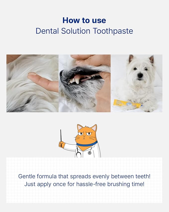 PETHROOM Pet Dental Solution Toothpaste for Dogs & Cats – Melon Flavor, Enzymatic Toothpaste for Fresh Breath & Plaque Control, Gentle Daily Dental Care, Net Wt 2.1 oz