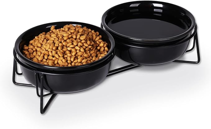 GDCZ Elevated 15 Oz Ceramic Double Cat Bowls with 11.6x2.5 Inch Stand (Black)