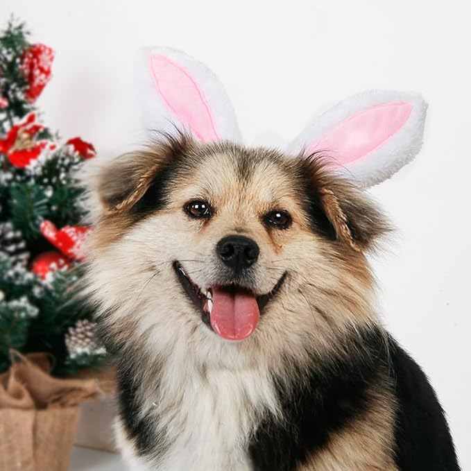 Dog Rabbit Bunny Ear Headband Headwear,Halloween Easter Cat Bunny Costume Outfits for Pet Hair Accessories (Large)