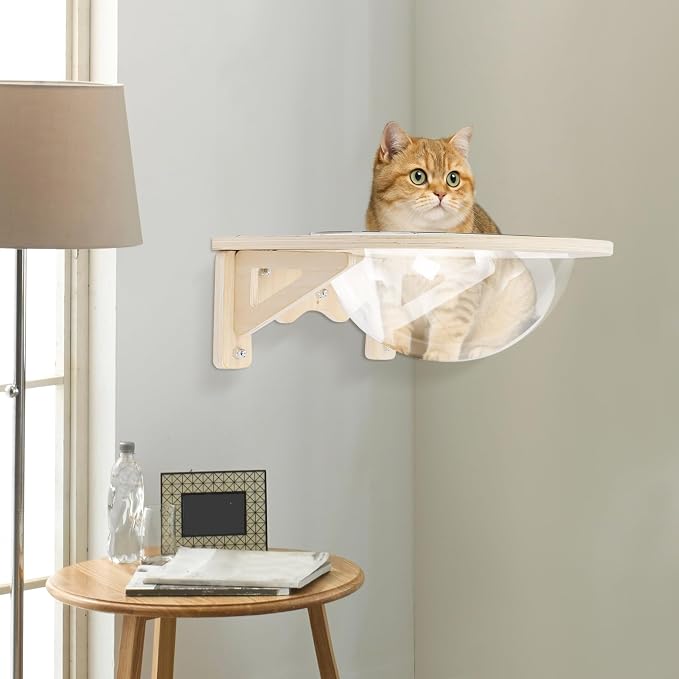 Wall-Mounted Clear Cat Bed Space Capsule - Modern Wooden Cat Wall Shelves for Indoor Cats with Strong Suction Cups, Holds Up to 16.5 lbs