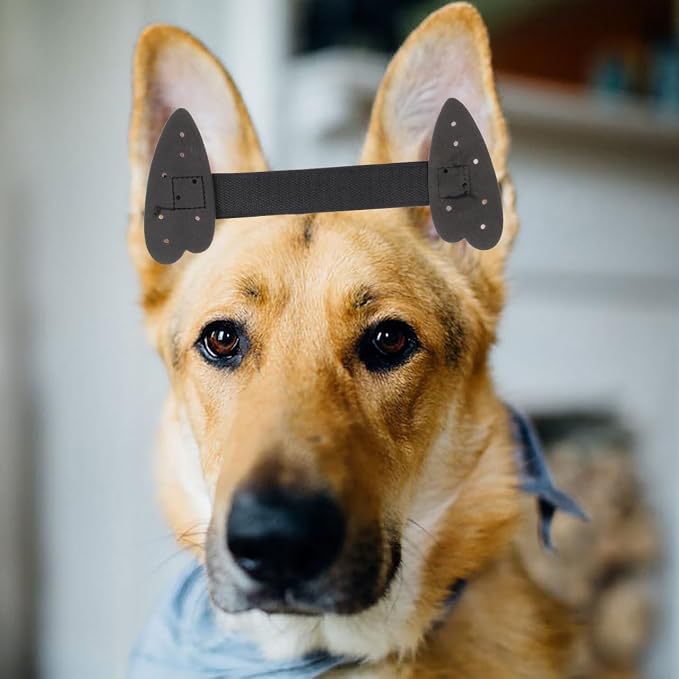 ORFOFE Dog Ear Posting Kit Puppy Ear Support Tape for Doberman Dog Standing Tape Pet and Positioning Stickers for Medium Large Dogs 3.54 X 1.57 in