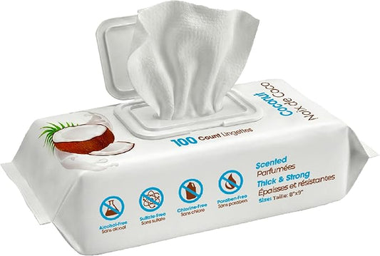 Best Pet Supplies 8" x 9" Large Dog Wipes - Cleaning and Deodorizing for Paws and Coat - Gentle Formula with Coconut Vitamin E for Puppies and Cats - 100 Count