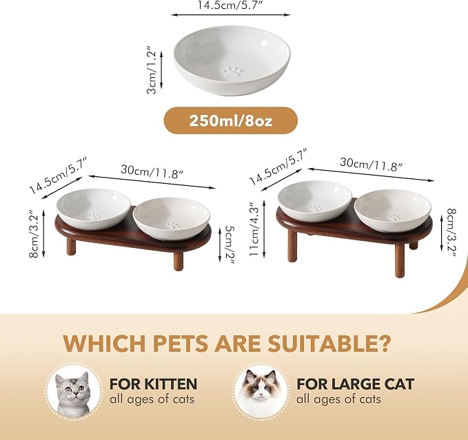 Havniva Elevated Cat Bowls, Ceramic Cat Bowl with Wood Stand, Wide Opening | 5.7” Raised Cat Food Bowls, Whisker Friendly Cat Dish, Anti-Slip Cat Water Bowls, Shallow Cat Bowls, Cat Food & Water Bowl
