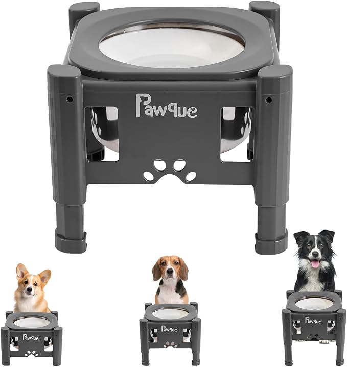 Pawque 80oz Stainless Steel Elevated Dog Water Bowls with Adjustable Stand | 3 Heights (6.1", 7.7", 9.3"), Raised Slow Floating Disc Bowls for Medium and Small Dogs, Non Slip Rubber & No-Spill
