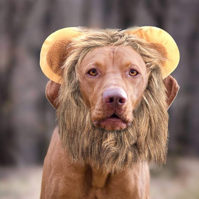 Zopsc Cute Cat Lion Wig Hat, Funny Pet Costume Dress Up for Small Dogs Cats, Furry Animal Roleplay Costume Accessories