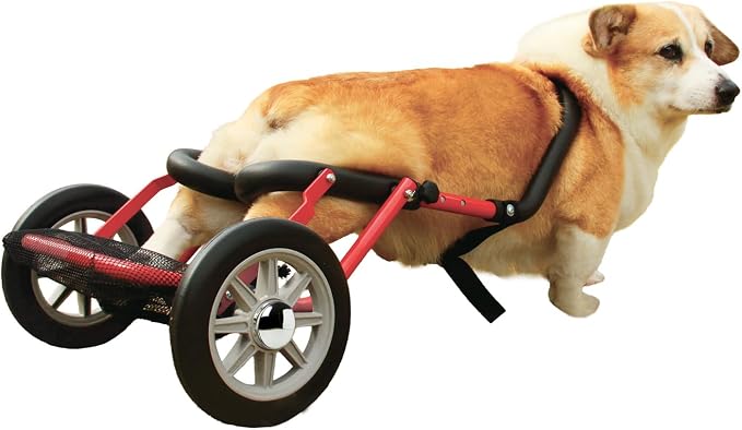 PaletteLife Corgi Dog Wheelchair for Back Legs, Adjustable Dog Cart with Wheels, Lightweight Rear Leg Mobility Support for Disabled, Injured & Senior Dogs