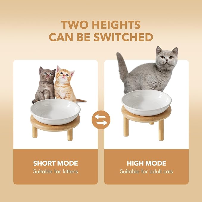 Havniva Elevated Cat Bowls, Ceramic Cat Bowl with Bamboo Stand Wide Opening | 5.7” Raised Cat Food Bowls, Whisker Friendly Cat Dish, Anti-Slip Cat Water Bowls, Shallow Cat Bowls, Cat Food & Water Bowl