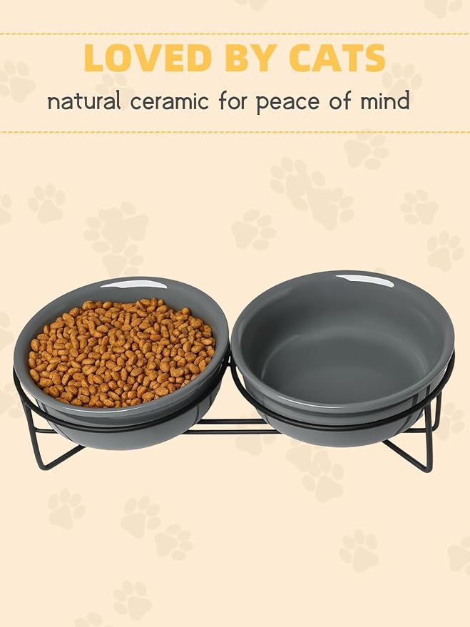 GDCZ Elevated 15 Oz Ceramic Double Cat Bowls with 11.6x2.5 Inch Stand (Grey)