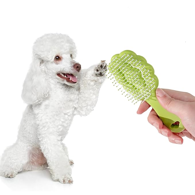 Small Dog Grooming Brush,Cloud Shape Puppy Brush Detangling Dog Hair Brushes for Wet or Dry - Perfect for Shih Tzus, Yorkies, Maltipoos - Ideal Puppy Hair Brushes for Maltese and Small Breeds (Green)