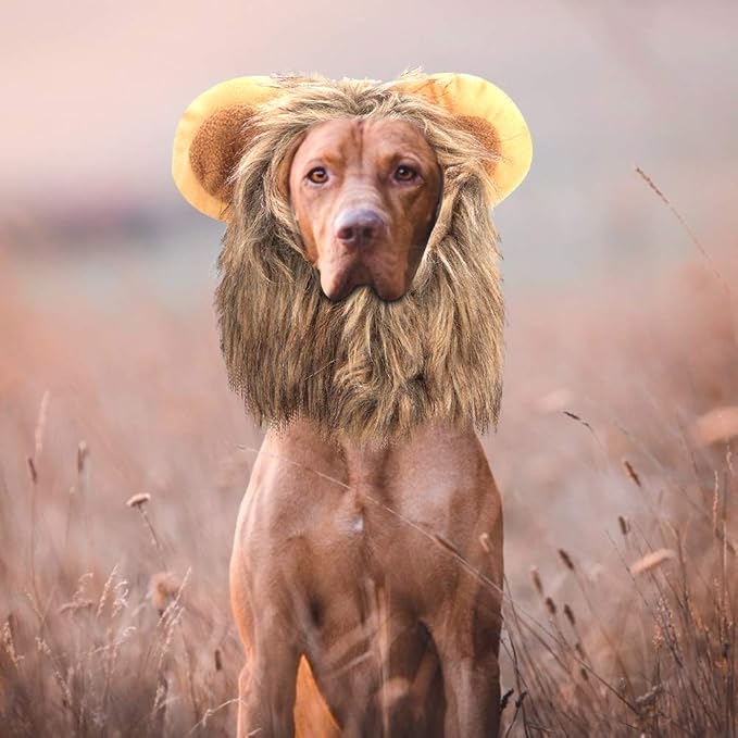 Zopsc Cute Cat Lion Wig Hat, Funny Pet Costume Dress Up for Small Dogs Cats, Furry Animal Roleplay Costume Accessories