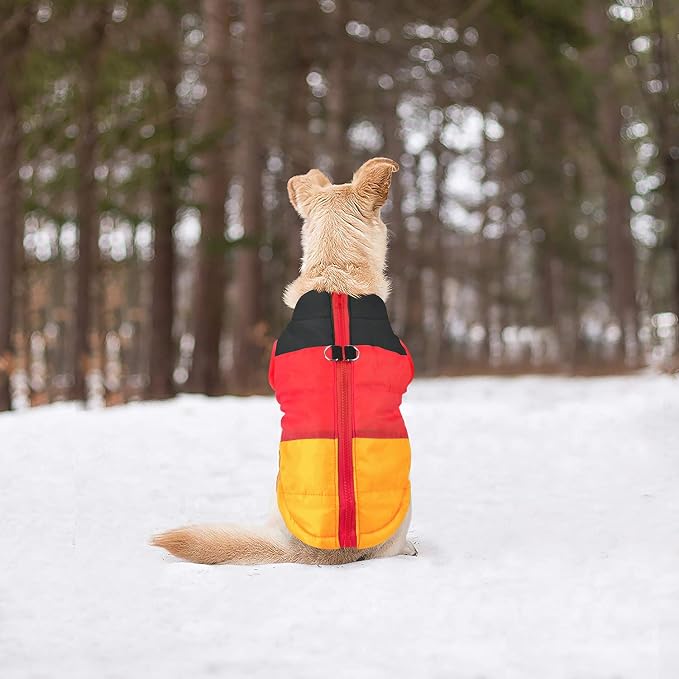 Idepet Pet Dog Cat Coat with Leash Anchor Color Patchwork Padded Puppy Vest Jacket Teddy Chihuahua Costumes Pug Cloth XS S M L (Medium (Pack of 1), Yellow)