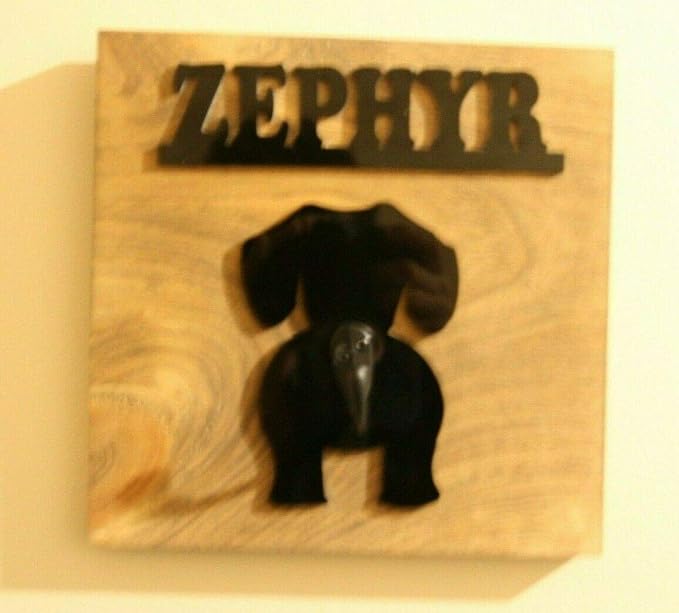 Personalized Wooden Dog Leash Hangers Custom Leash Holder Puppy Pet Hook Name Dog Design Sign Wall Organizer Decor, Hook and Hardware Is Installed Ready To Use, No More Where's the Leash? A Must Have