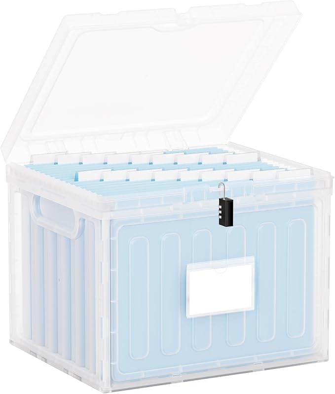 Oterri Lockable Plastic File Box with Lid for Letter-Size | Hanging File Folders Not Included. Clear, Large 1-Pack. Home, Office, Classroom, Dorm, Tax, Under Bed, Filing Cabinet.