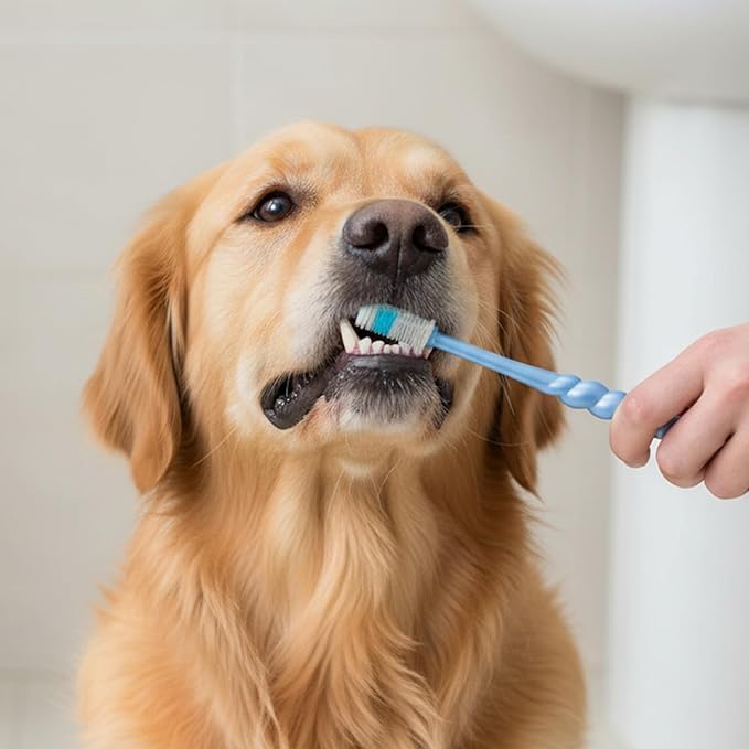 4 Pcs Cat Toothbrush 360, Soft Silicone Toothbrush Dog Deep Teeth Cleaning, 360 Toothbrushes Cat Soft Bristle Multi-Color, 360° Pet Toothbrushes Round Design for Small Dogs Cats Dental Care