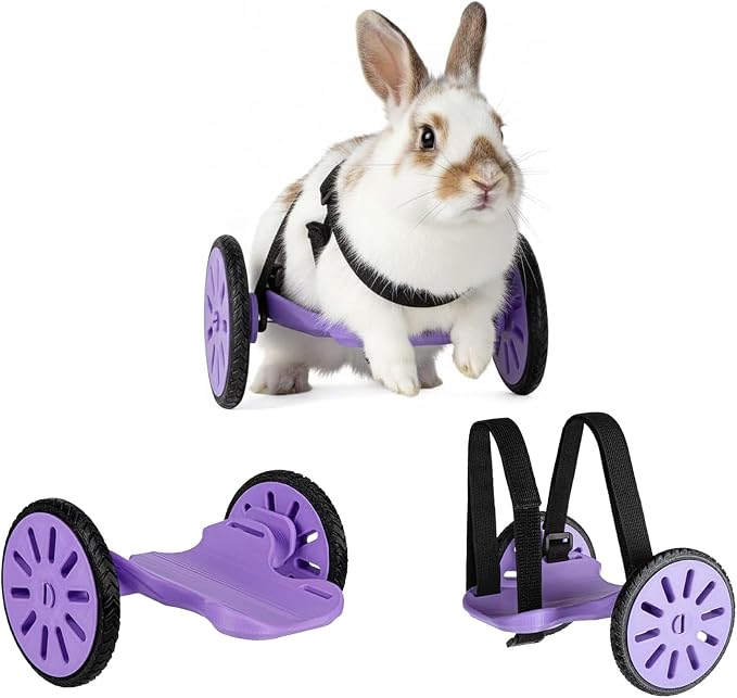 Adjustable Pet Wheelchair for Back Legs, Lightweight Rabbit Wheelchair for Hind Leg Support, Small Animal Mobility Cart for Bunny and Guinea Pig, Compatible with Mini Breeds (Rabbits, Guinea Pigs)