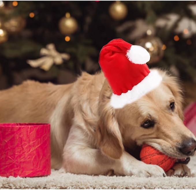 ANIAC Adjustable 3D Christmas Dog Santa Hat for Medium to Large Dogs Pet Dog Santa Costume…