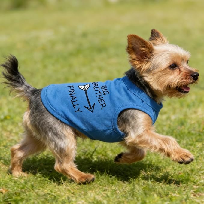 Big Brother Dog Shirts for Boy Dogs, Cotton Yorkie Cat Clothes for Cats, Breathable Pet Apparel Outfits for Chihuahua Teddy French Bulldog Yorkie Shih Tzu (Neck Girth 11.02'')