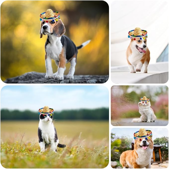 Pet Mexican Hat, Colorful Bobble Ball Tassel, Adjustable Design, Comfortable and Fashionable Dress for Small and Medium-Sized Pets. (Colorful)