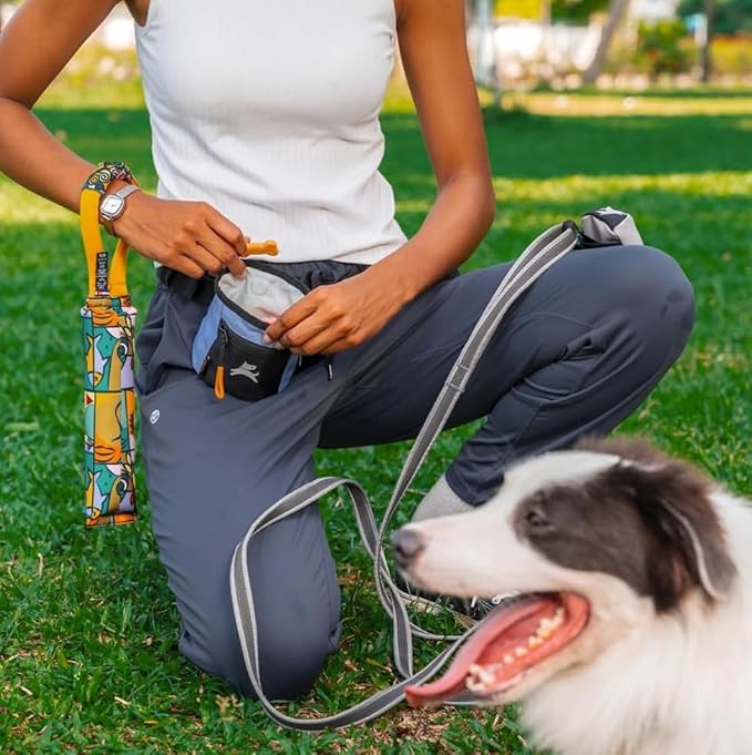 OllyDog, Goodie Treat Bag, Dog Treat Training Pouch | Magnetic Closure | 3 Ways to Wear | Hands-Free Waist Belt | Water-Resistant Recycled Vegan Fabric (Blue Heron)