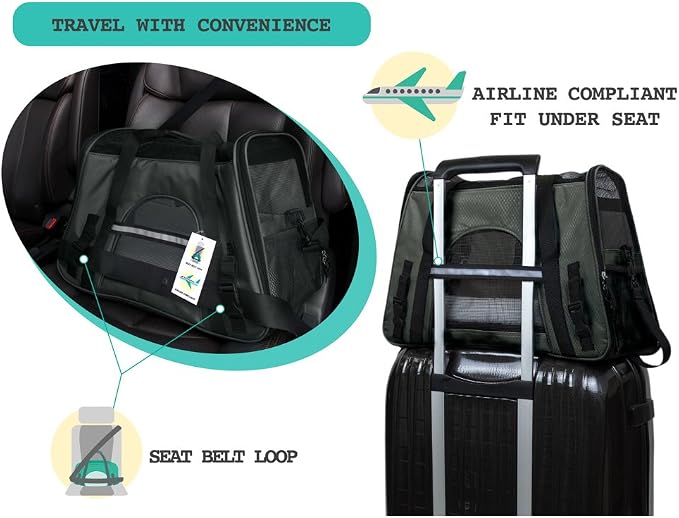 PetAmi Airline Approved Pet Carrier for Cats & Small Dogs, Small, Dark Gray | Soft Sided TSA Travel Bag, Sherpa Bed, Breathable Mesh Ventilation, Collapsible Bowl, Fits Under Seat, Up to 18 lbs