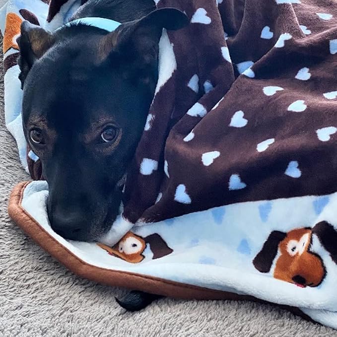 Snuggle Puppy Fleece Blanket for Dogs, Washable, 48 x 30 in - Blue
