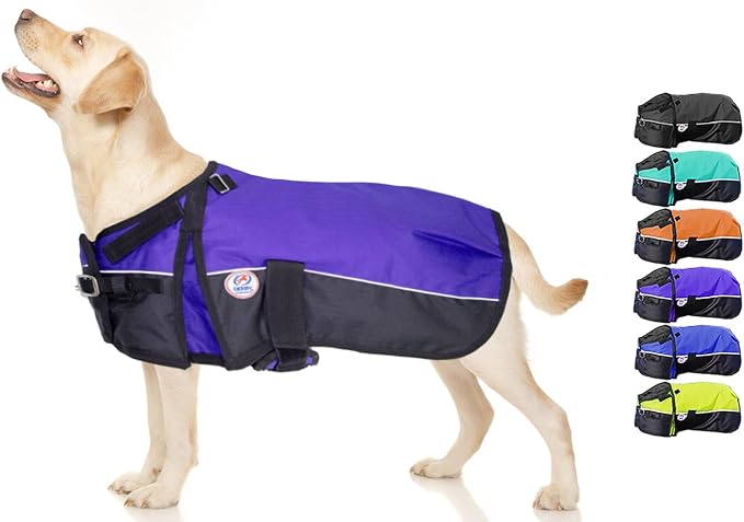 Derby Originals Ruff-Pup Winter Dog Coat 600D Medium Weight, 22 IN, Purple
