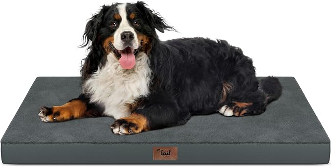 Outdoor Extra Large Dog Bed XXL for Giant Breed Dogs | Egg Crate Orthopedic Foam, Fits 48x30 Crates, TPU Waterproof Layer, Machine Washable 1680D Oxford Cover, Up to 110 lbs