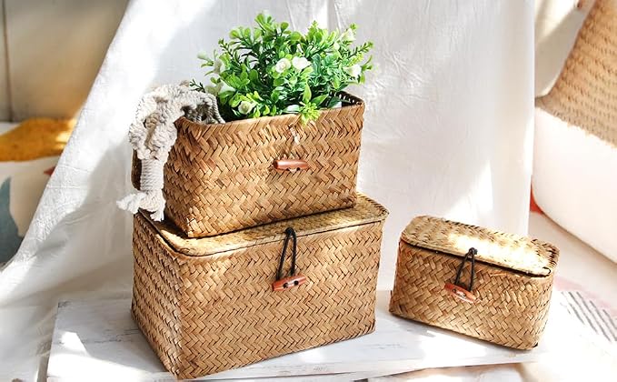 FEILANDUO Mini Wicker Shelf Storage Baskets with Lid, Set of 3, (S/M/L) | Handwoven Seagrass Small Decorative Boxes, Desktop Makeup Organizer, Multipurpose Container