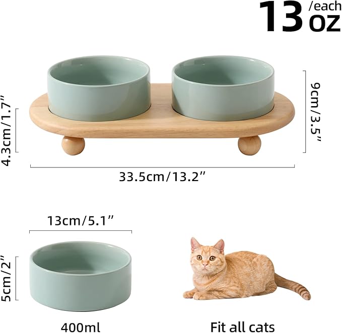 Havniva Ceramic Elevated Cat Food and Water Bowl, Kitty Bowl, Raised Cat Dish, Pet Feeder (5.1 in, 2 x Light Green + Stand)