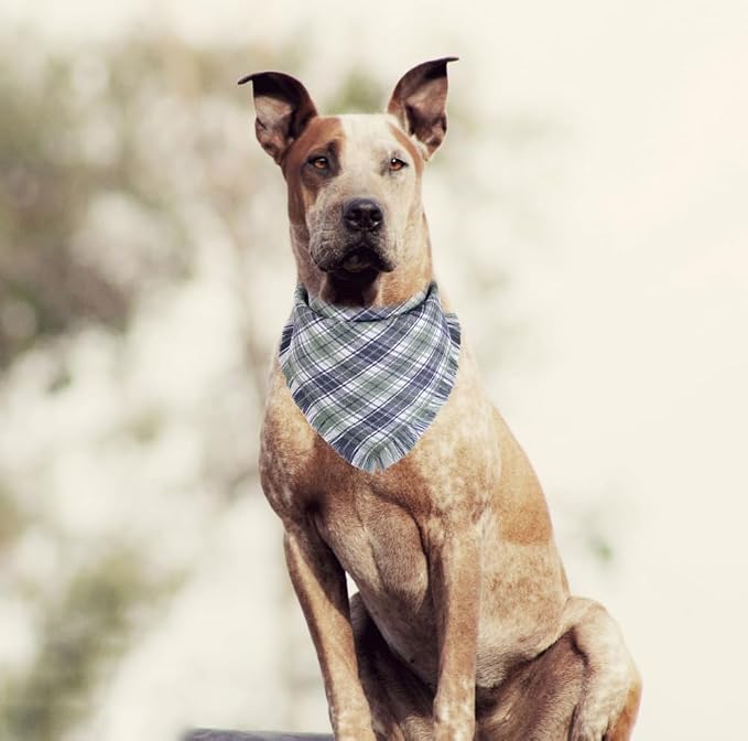 Fall Dog Bandana Autumn Thanksgiving Plaid Reversible Triangle Bibs Scarf