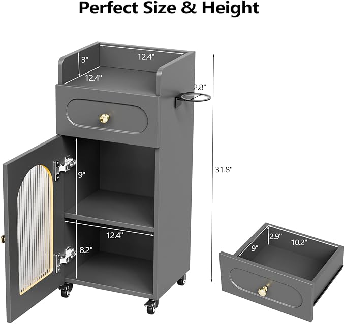 Salon Cart with Wheels & Adjustable Shelf, 3-Tier Rolling Beauty Trolley for Hair Stylist, Barber, Esthetician, Storage Cabinet w/Glass Door & Hair Dryer Holder, Mobile Station for Spa, Tattoo (Gray)