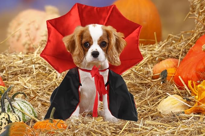 Estivaux Pet Halloween Costumes Dogs Cats Halloween Vampire Pets Costume Cape Black Red Witch Stand-up Collar Cape Cat Puppy Cosplay Clothes Apparel for Pets Dress Up Accessories Halloween Party Decor