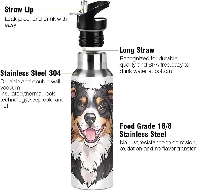 Bernese Dog Hearts Water Bottle with Straw Lid Kids Insulated Stainless Steel Water Flask Sports, 20 Oz Hot Cold