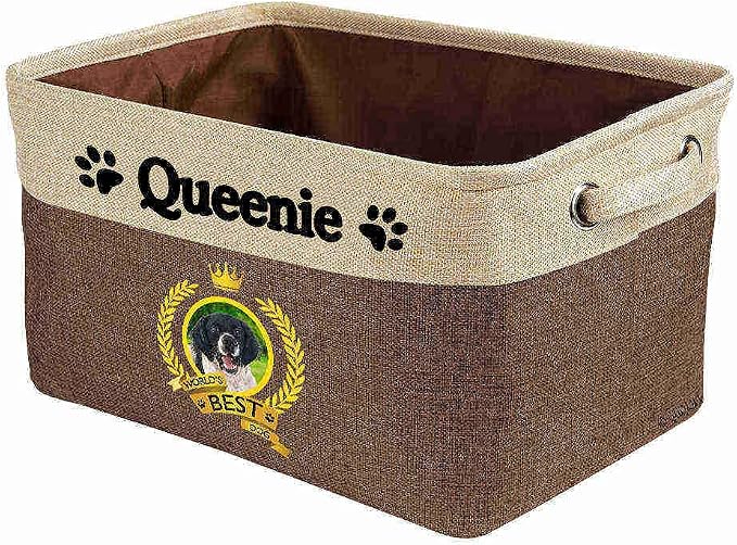 Custom Name Collapsible Dog Toy Storage Basket Bin World's Best Dog Brittany Dog Foldable Pet Toy Box Closet Shelf Baskets Organizer for Bedroom Home Dog Cat with Handles Brown
