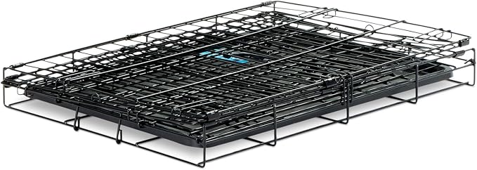 Carlson Pet Products SECURE AND FOLDABLE Single Door Metal Dog Crate, Small, 24.0"L x 18.0"W x 19.0"H