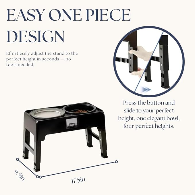 Elevated Dog Bowls, 4 Height Adjustable Stand with 2 Stainless Steel 2 L Bowls, Slow Feeder Insert, Floating Water Dispenser, Small to XL Dogs, Black