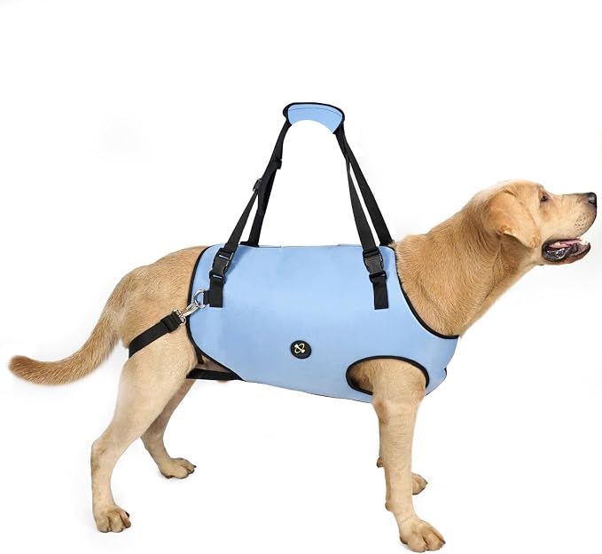 Coodeo Dog Lift Harness, Pet Support & Rehabilitation Sling Lift Adjustable Padded Breathable Straps for Old, Disabled, Joint Injuries, Arthritis, Loss of Stability Dogs Walk (Blue, S)