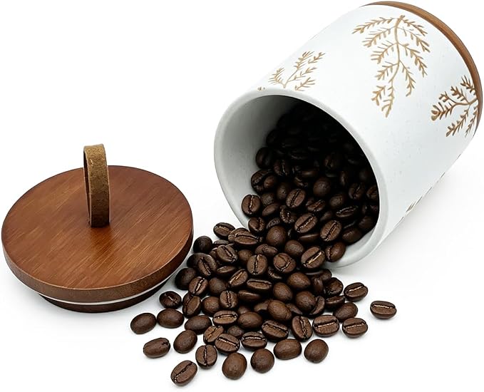 10oz Ceramic Airtight Food Storage Container with Wooden Spoon for Sugar,Matcha,Salt,Coffee,Spices,Cat Treat,Loose Leaf Tea(White Botanical Fern Pattern)